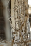toul sleng museum (S21 prison)