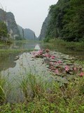tam coc