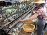 silk factory