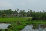 vanuit de trein