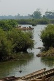 mekong