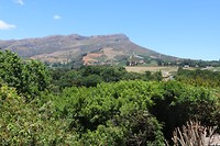 The wine lands