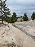 IMG_3300