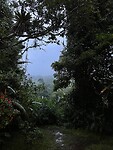 IMG_8334