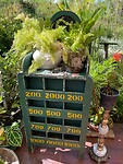 IMG_8355