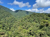 IMG_8364
