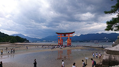 Miyajima - torii5