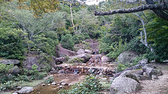 Momiji park