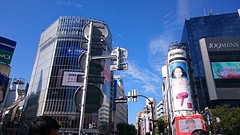Shibuya crossing