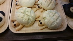 Schildpad broodjes