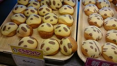 Panda muffins :)