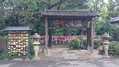 Zojo tempel