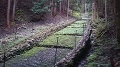 Kosuge village 6