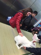 Ikebukuro verkennen!