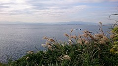 Enoshima 6