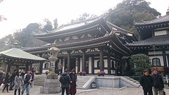 Hase tempel 1
