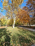 20251102_104134