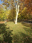 20251102_104125