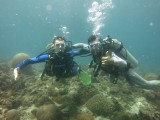 &Divebuddy