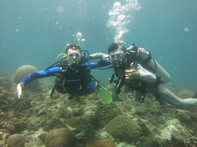 &Divebuddy