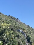 IMG_9208