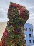IMG_9243