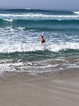 IMG_9382