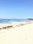 IMG_9354