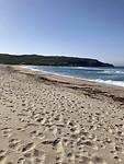 IMG_9353