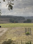 IMG_9435