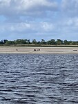 IMG_2101