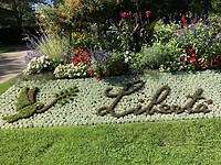 IMG_2124