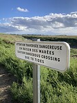IMG_2127