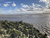 IMG_2128