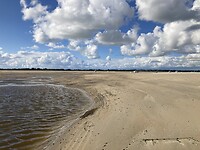 IMG_2131