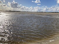 IMG_2129