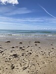 IMG_2139