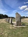 IMG_2140