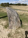 IMG_2145