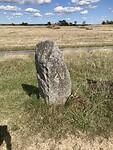 IMG_2146