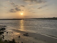 Nog geen paniek én geen zeehonden.