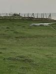 Opkomend water