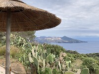 IMG_5387