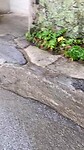 Waterval van regen