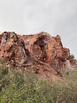 IMG_5570
