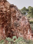 IMG_5568
