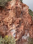 IMG_5569