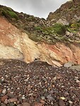 IMG_5546