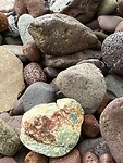 IMG_5550