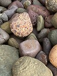 IMG_5551